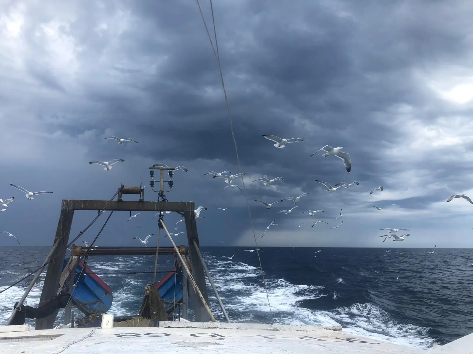 Barca de pesca tornant a port amb un vol de gavines i el cel encapotat