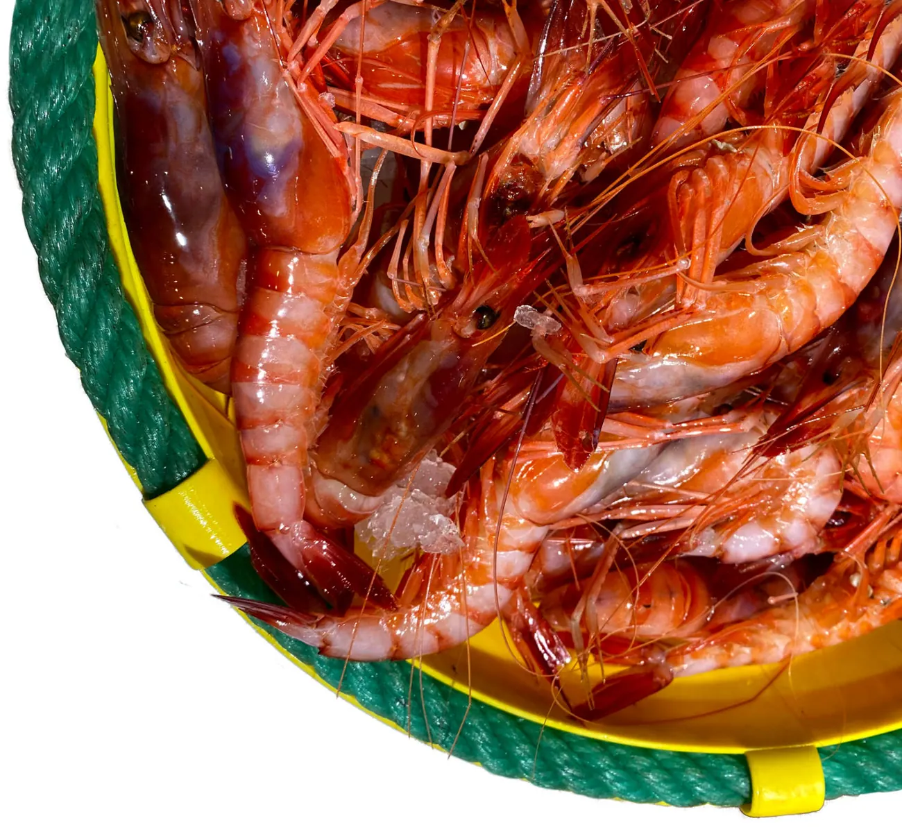 Cistell ple de gambes i marisc acabat de comprar