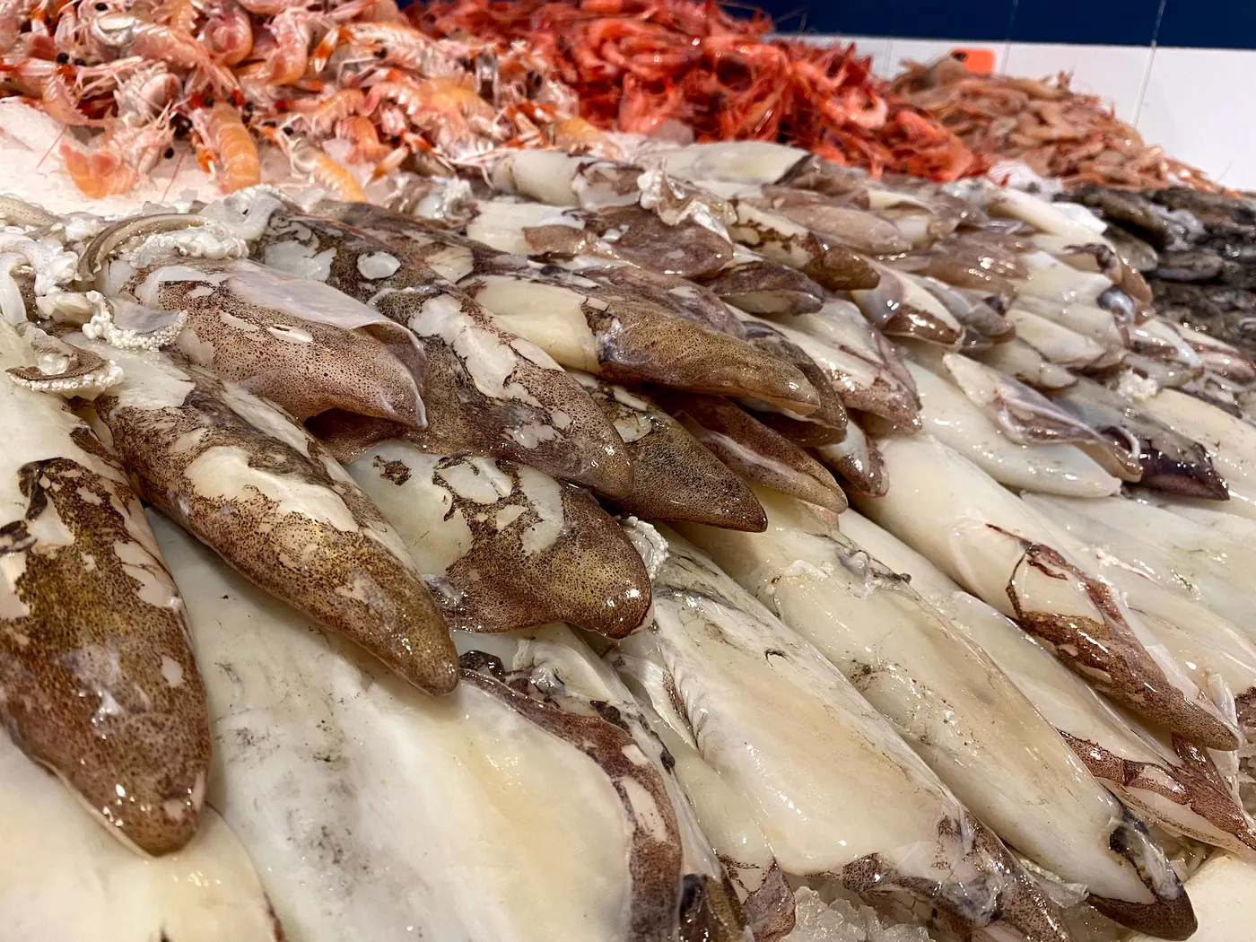 Peix i sípies fresques al mostrador de Peixos Pilar