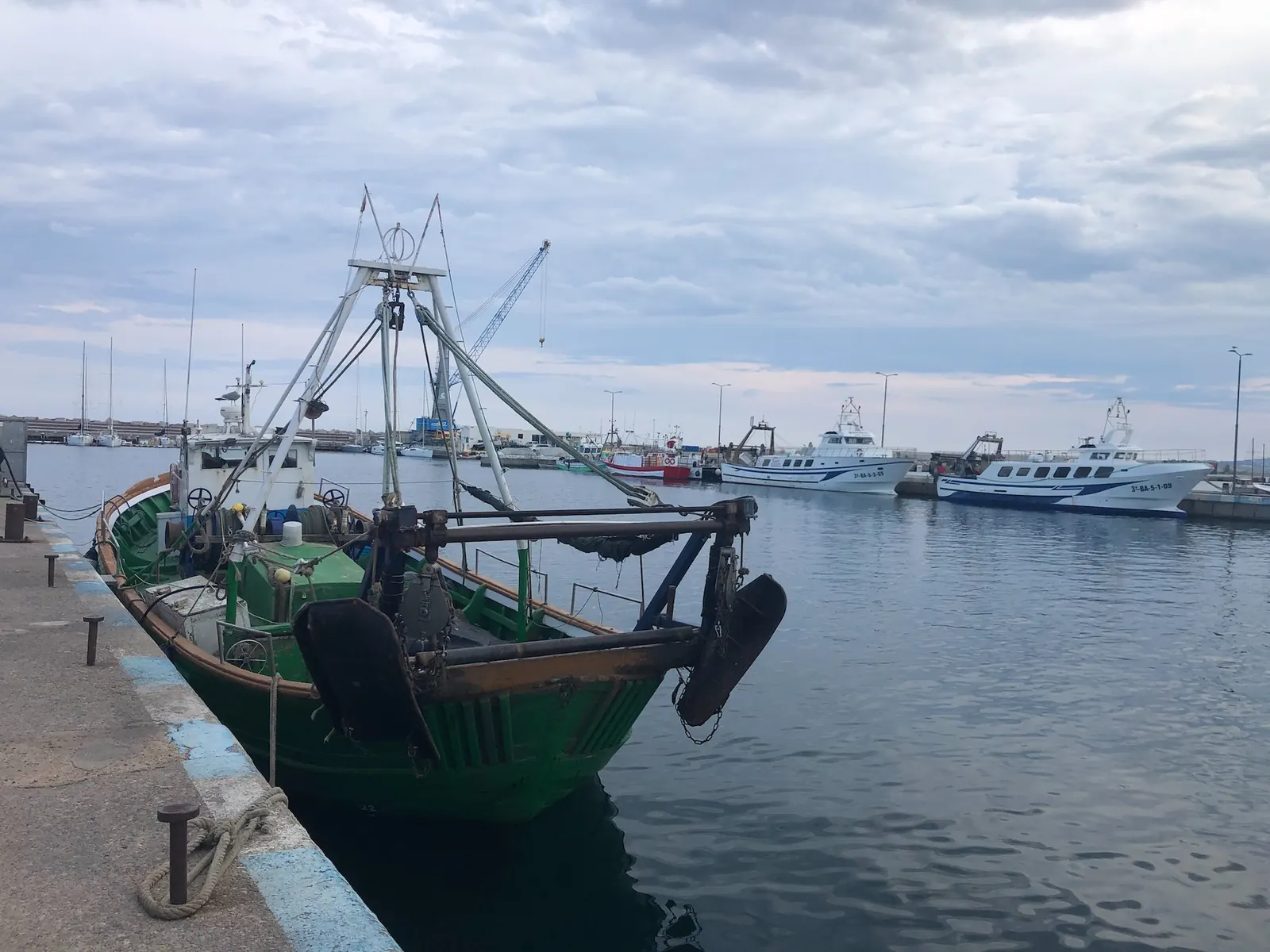Barques de pesca amarrades al port de Palamós