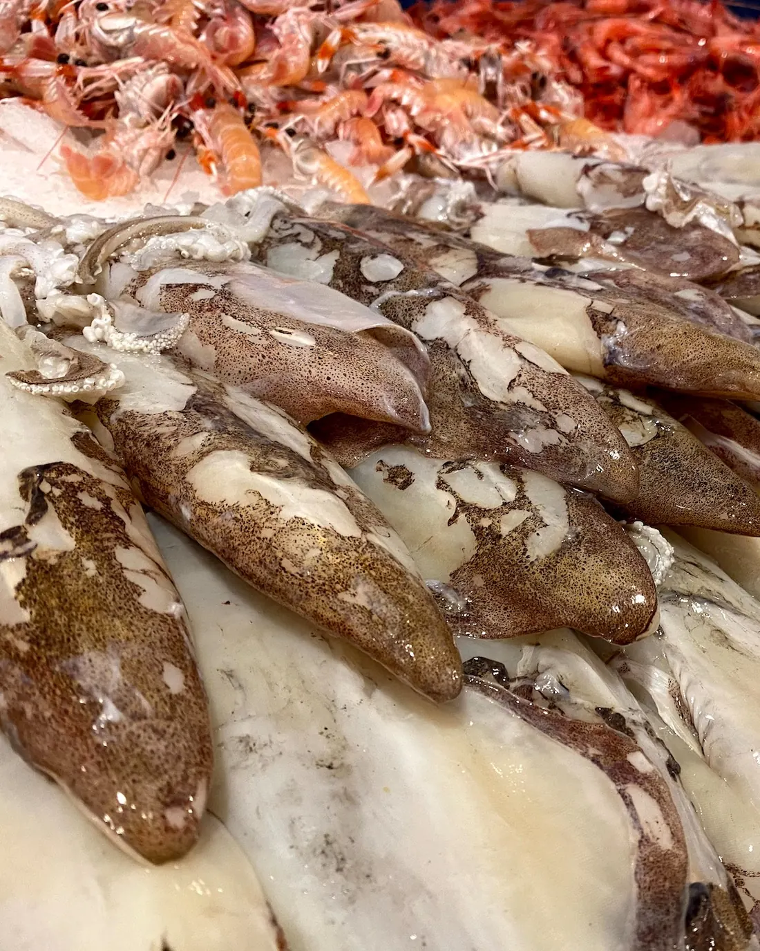 Sípies fresques al taulell de Peixos Pilar